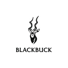 Blackbuck logo design. Antelop india silhoutte.