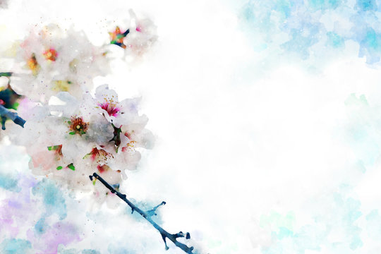watercolor style and abstract image of cherry tree flowers
