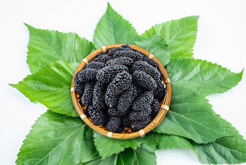 Fresh black mulberry and mulberry leaves on a saucer on white background