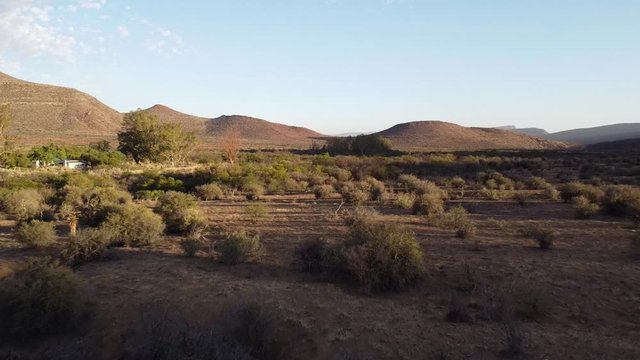 Dry Karoo farm landscape near Graaff-Reinet during drought featuring Camel Thorn trees (Vachellia erioloba). Low flying aerial shot over arid land with soil erosion. Scene shot during sunset.