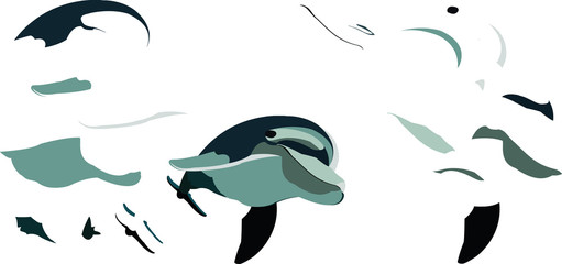 serie di delfini da disegnare e costruire