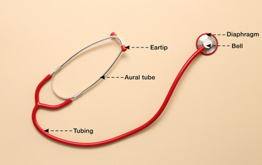 Modern stethoscope with names of particular parts on color background