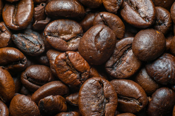 the fragrant invigorating grain coffee