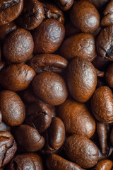 the fragrant invigorating grain coffee