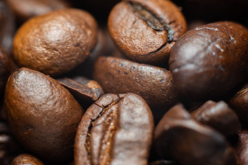 the fragrant invigorating grain coffee