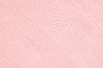 Beautiful line soft pink feather wing pattern texture background