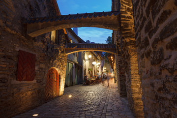 Obraz premium Katarina Passage, Tallinn, Estonia. Night view with illumination.
