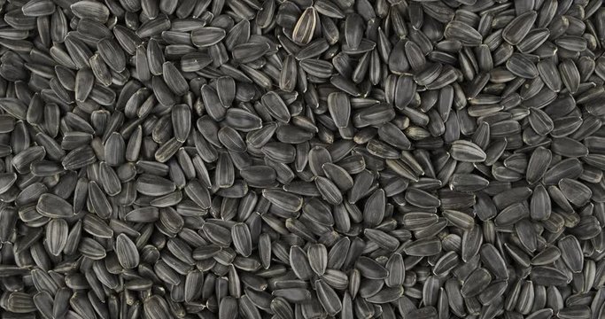 Rotation, background from sunflower seeds. Grocery background. Top view. Copy space.