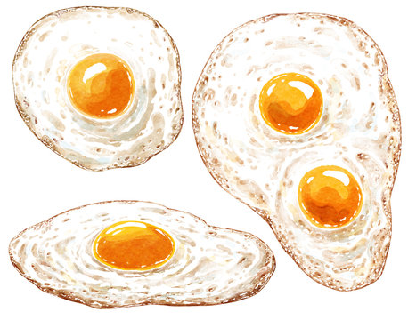 Fried egg watercolor illustration, isolated on white