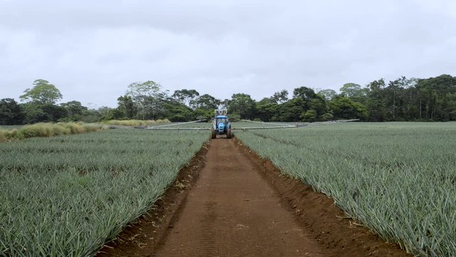 A tractor spray hervicide over the pineapple fields in Pital, Costa Rica