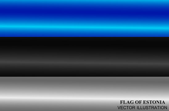 Flag of Estonia with folds. Colorful illustration with flag for web design. Vector.