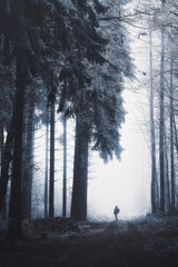 hiker in the forest with frost