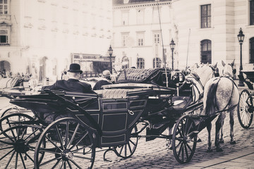 Touristisches Foto der Pferdekutsche im Vintage-Stil in Wien, Österreich