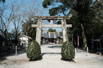 Fototapeta na wymiar 諏訪神社の鳥居