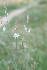 Nature shots in the forest