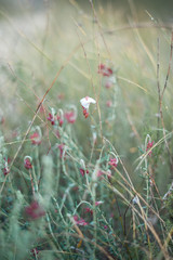 Nature shots in the forest