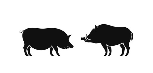 Boar and pig logo. Isolated boar on white background