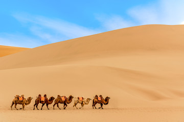 Fototapeta na wymiar Dunhuang mingsha mountain camel team