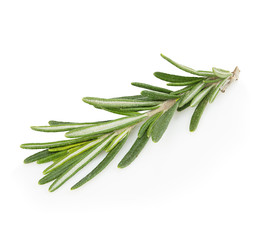 Fototapeta premium Fresh rosemary branch isolated on white background.