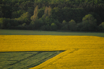 Fototapeta premium spring in Germany