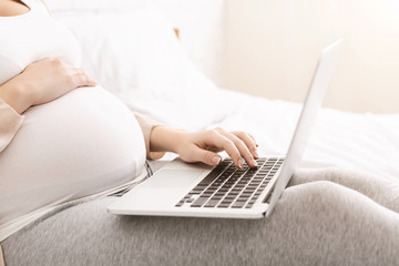Fototapeta premium Pregnant woman browsing on laptop at home, side view, free space