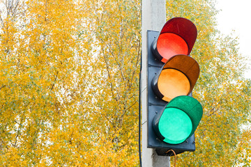 installed on cement pole in city near Park traffic light with lights on