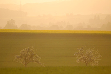 Obraz premium spring in Germany