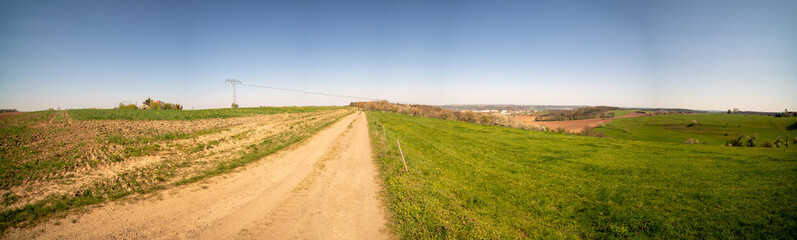 Sunny summer day  country road, green meadows and blue sky
