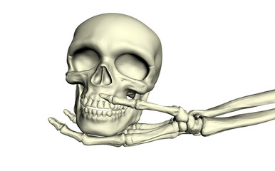  Skull in the hands of a skeleton. Human organs. Treatment. Healthcare The medicine. Anatomy. Body parts. White background. 3d rendering.