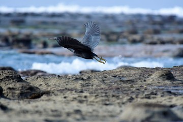 浜田市の畳ケ裏