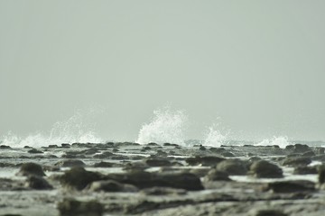 浜田市の畳ケ裏