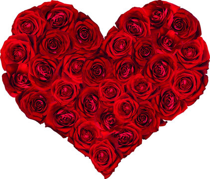 Heart filled with red roses vector