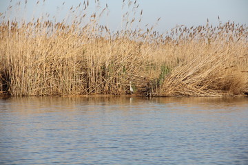 Albufera, Valencia