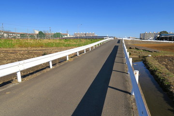 冬の田圃の中の坂道風景