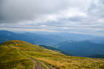 Alpine grassy meadow in autumnal Carpathians. lovely landscape of Transсarpathia with beech forest on hills and gorgeous Svydovets mountain ridge in a distance, Ukraine 