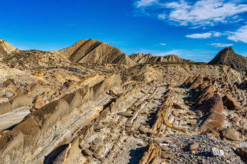 Dragon Tail, Colas de Dragon in Tabernas Desert in Almeria, Spain