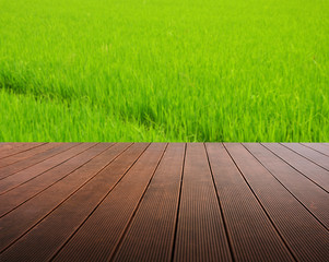 Fototapeta premium Green field under the sun. Wooden planks floor. Beauty nature background.