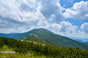 Obraz premium Mountain landscape. Amazing wild nature view of deep evergreen forest landscape on sunlight at middle of summer. Natural green scenery of cloud, stones with moss on mountain slopes Ukraine, Gorgany.