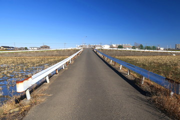 Fototapeta premium 冬の田圃の中の坂道風景