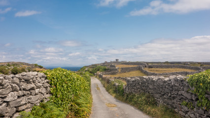 A quiet country road with ivy covered walls on Inisheer (Inis Oirr), the smallest of the Aran Islands off the coast of Galway in the west of Ireland. 