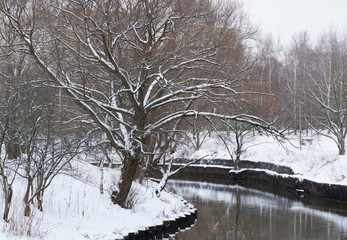 winter landscape with trees and the river in the park