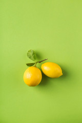 Two ripe lemons with a branch and leaves on a green background close-up.