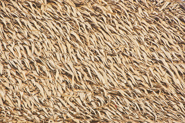 Close up of thatch roof background, Hay or dry grass background, Thatched roof, Grass hay, dry straw, Roof background texture.