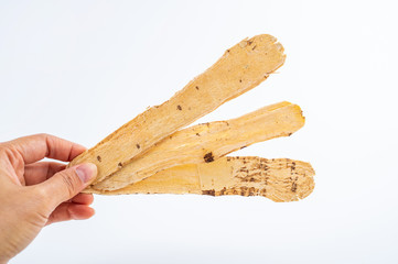 Hand holding Chinese medicinal herbs Astragalus membranaceus tablet