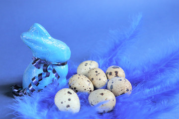 Easter concept. Quail eggs and blue rabbit on blue bird feathers in trendy color on a blue background.