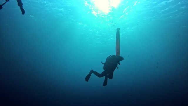 Diver inflating security boycott in big deep blue.