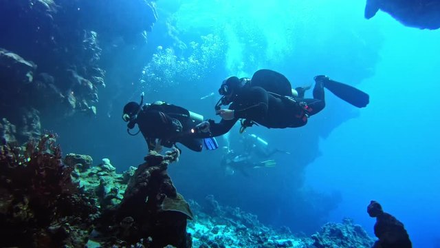 Scuba diver filming underwater life.