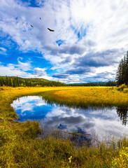 Cloudy day near the Bighorn Highway