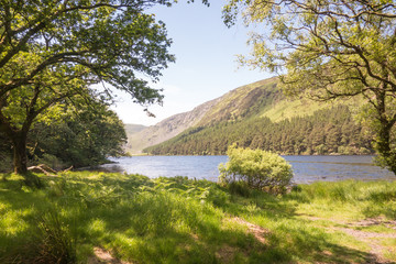 View of the Upper Lake at Glendalough National Park in County Wicklow, Ireland.