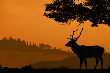 Orange landscape with a silhouette of a deer. Hills covered with forest and the silhouette of a deer under the tree in the foreground